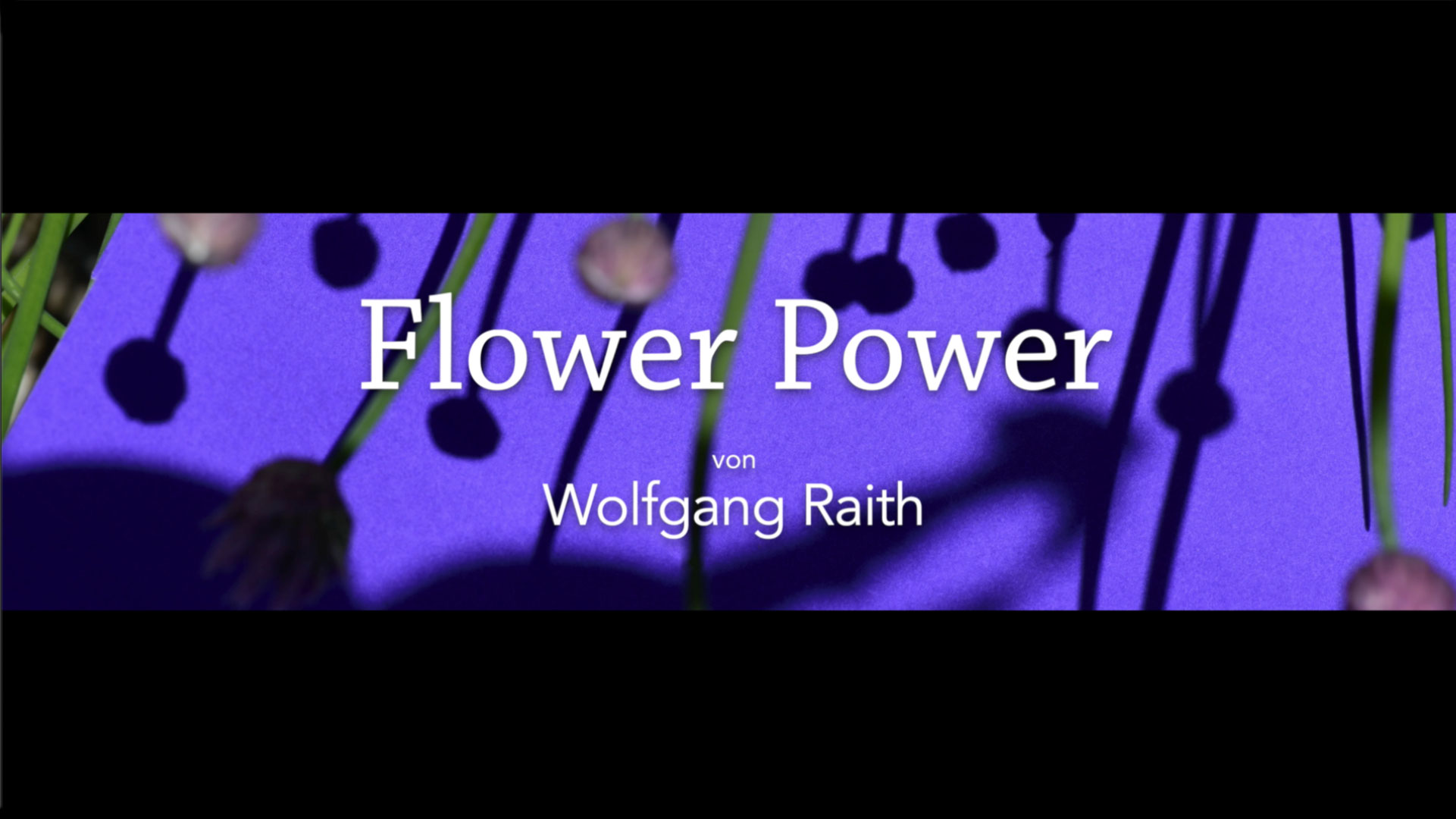 Geschützt: Flower Power